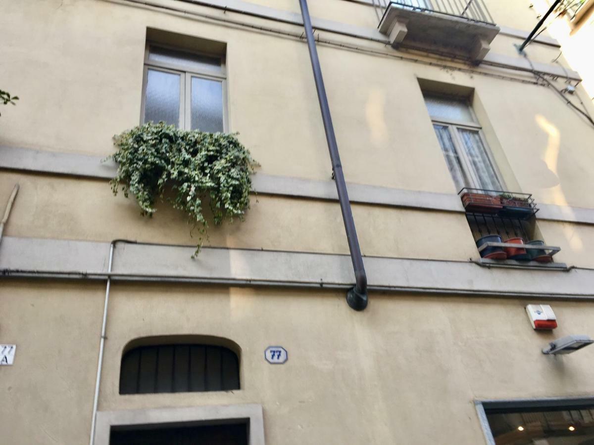La Gemma Del Quadrilatero Apartman Torino Kültér fotó